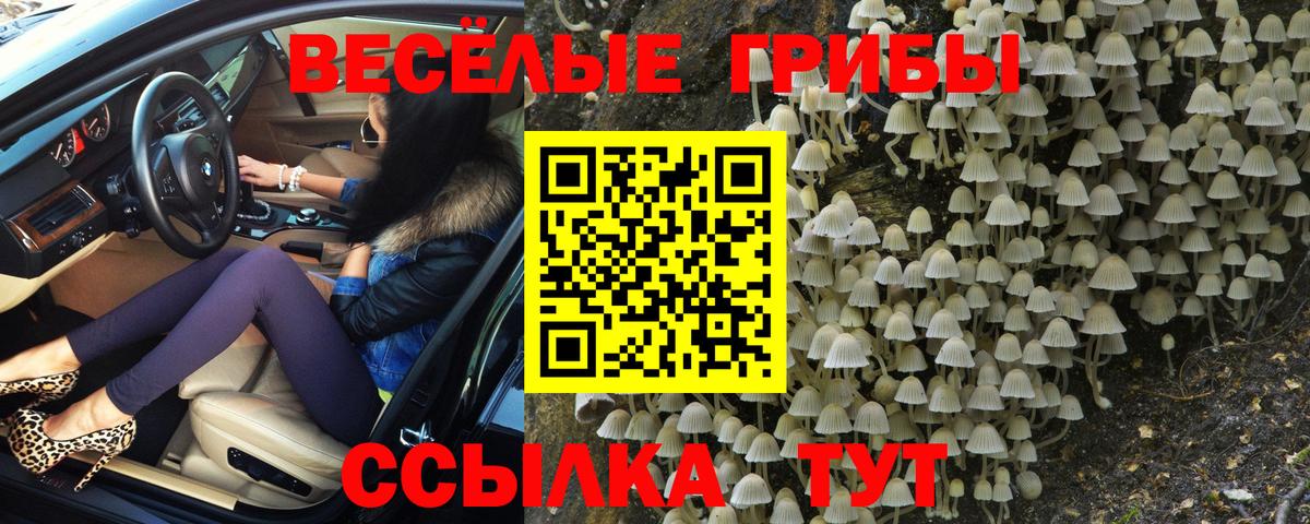 Галлюциногенные грибы Magic Shrooms Сальск