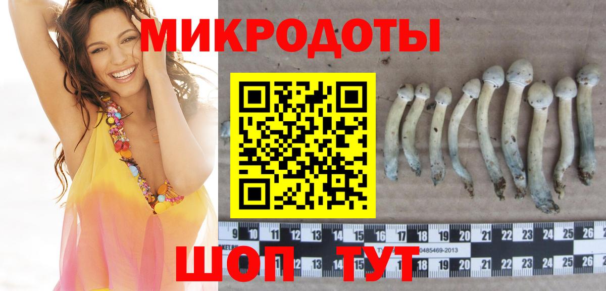 Галлюциногенные грибы Psilocybe  Вход с VPN  Сальск  Галлюциногенные грибы MAGIC MUSHROOMS 